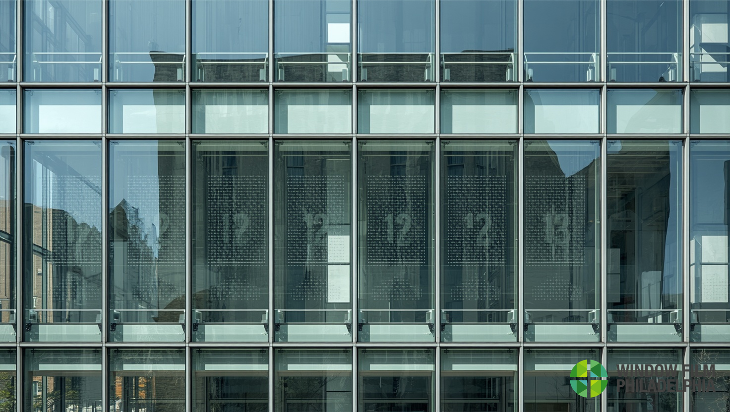 How Bird Strike Window Film Helps Prevent Avian Collisions in Philadelphia | Window Film Philadelphia