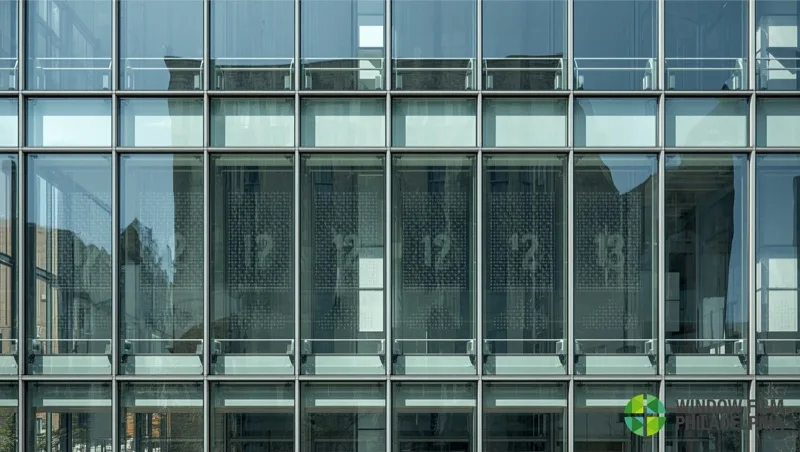 How Bird Strike Window Film Helps Prevent Avian Collisions in Philadelphia | Window Film Philadelphia